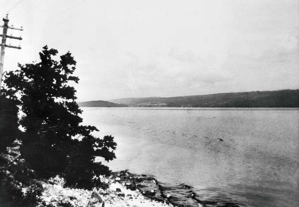 Detail of Alleged Image of Loch Ness Monster by Anonymous