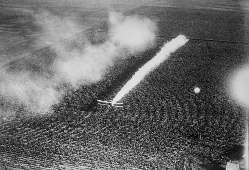Detail of Plane Crop-Dusting a Field by Anonymous