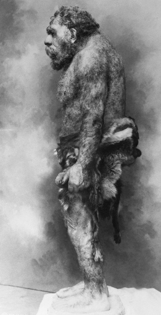 Detail of Neanderthal Man Exhibit by Anonymous