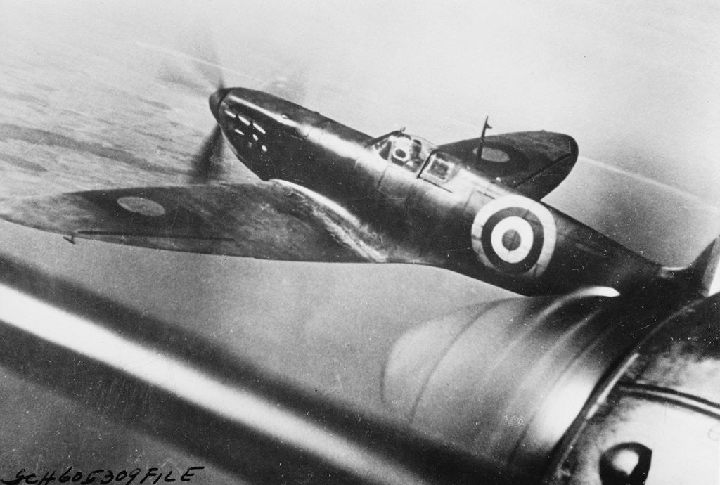 Detail of British Spitfire by Corbis