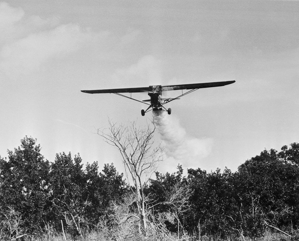 Detail of Airplane Dusting Insecticide Over Trees by Anonymous