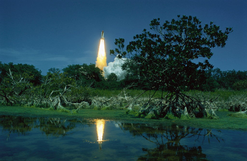 Detail of Space Shuttle Challenger Launching by Anonymous
