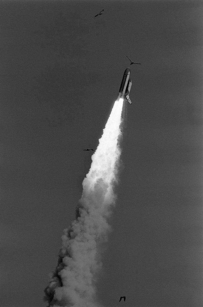 Detail of Challenger Space Shuttle Lifting Off by Anonymous