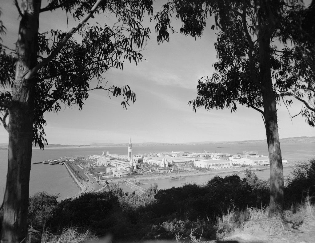 Detail of Distant View of San Francisco Through Tree Line by Corbis