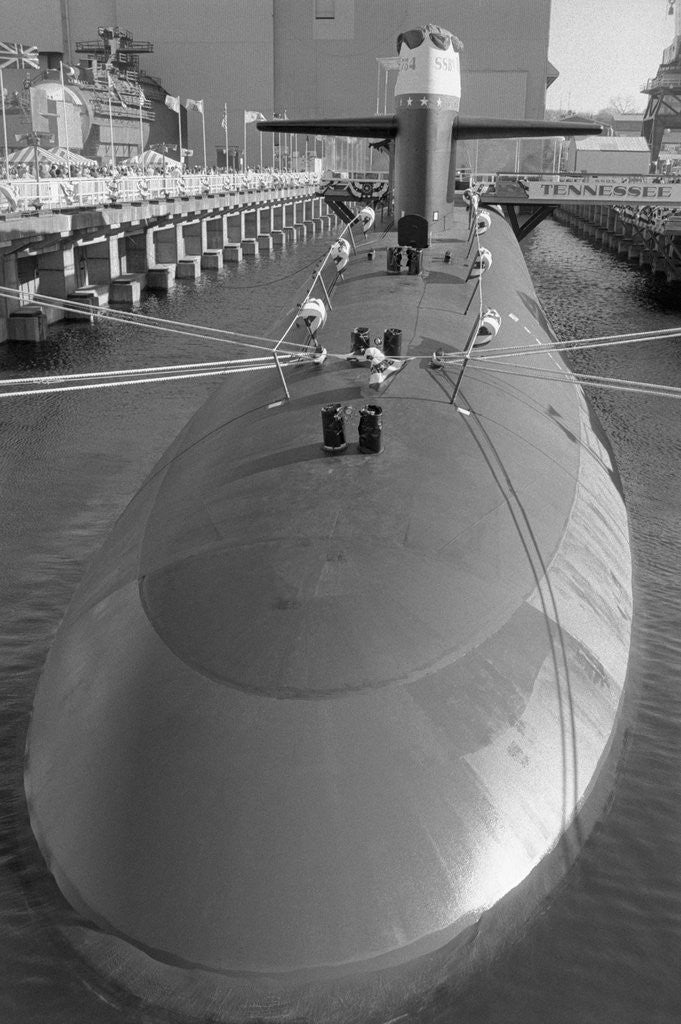 Detail of Portrait of The Trident Ballistic Missile by Anonymous