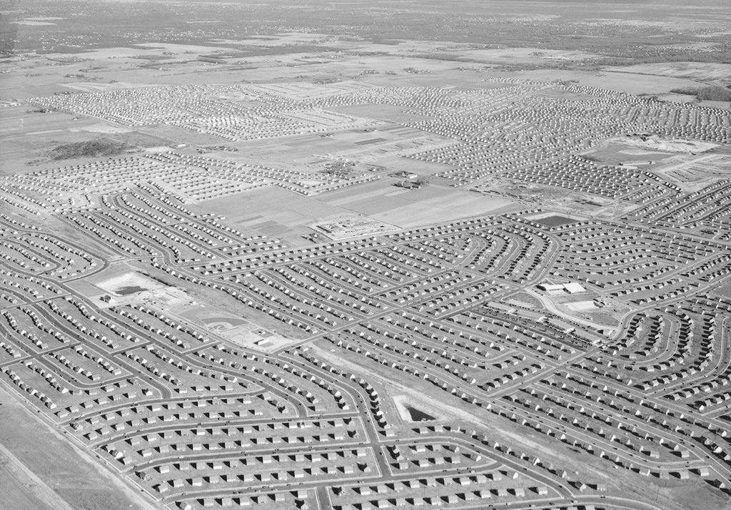 Detail of New York Suburb of Levittown by Anonymous