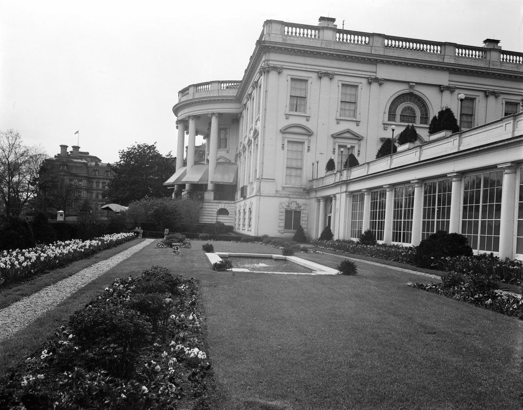 Detail of Southeastern Side of White House by Anonymous