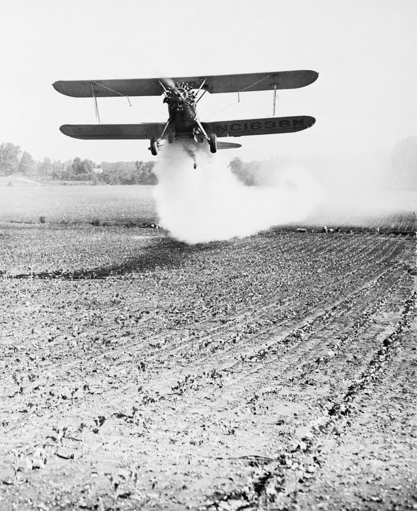 Detail of Bi-Plane Dusting Field with Pesticides by Anonymous