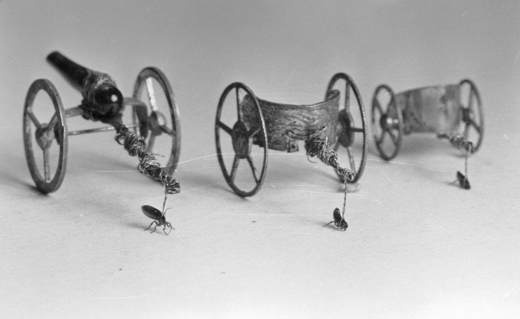 Detail of Flea Pulling Miniature Chariot by Anonymous