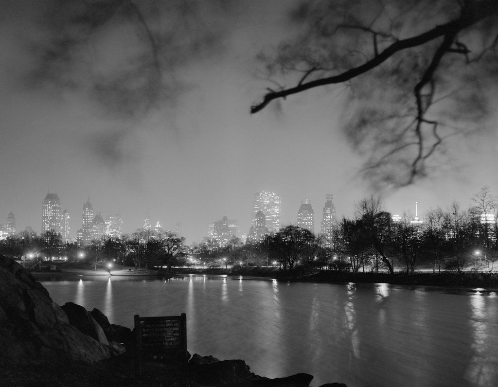 Detail of View in Central Park by Anonymous
