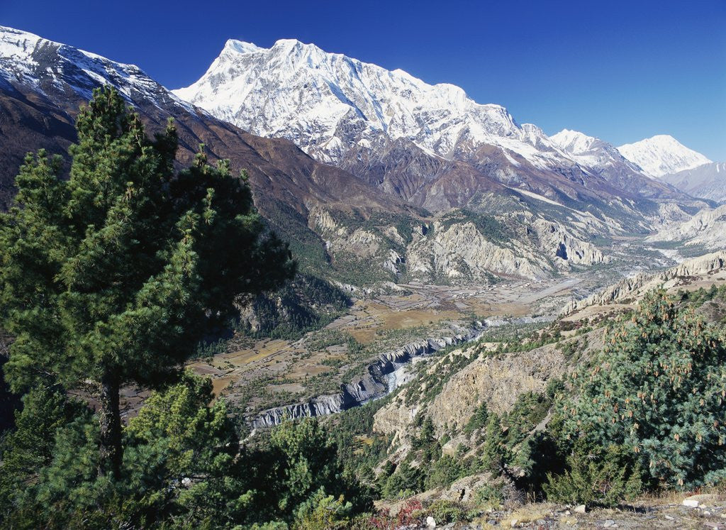 Detail of Gangapurna and Marsyangdi Valley by Anonymous