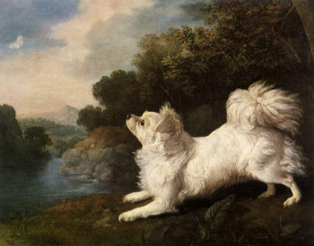 Detail of Spaniel belonging to painter Cosway chasing a butterfly, 1775 by George Stubbs