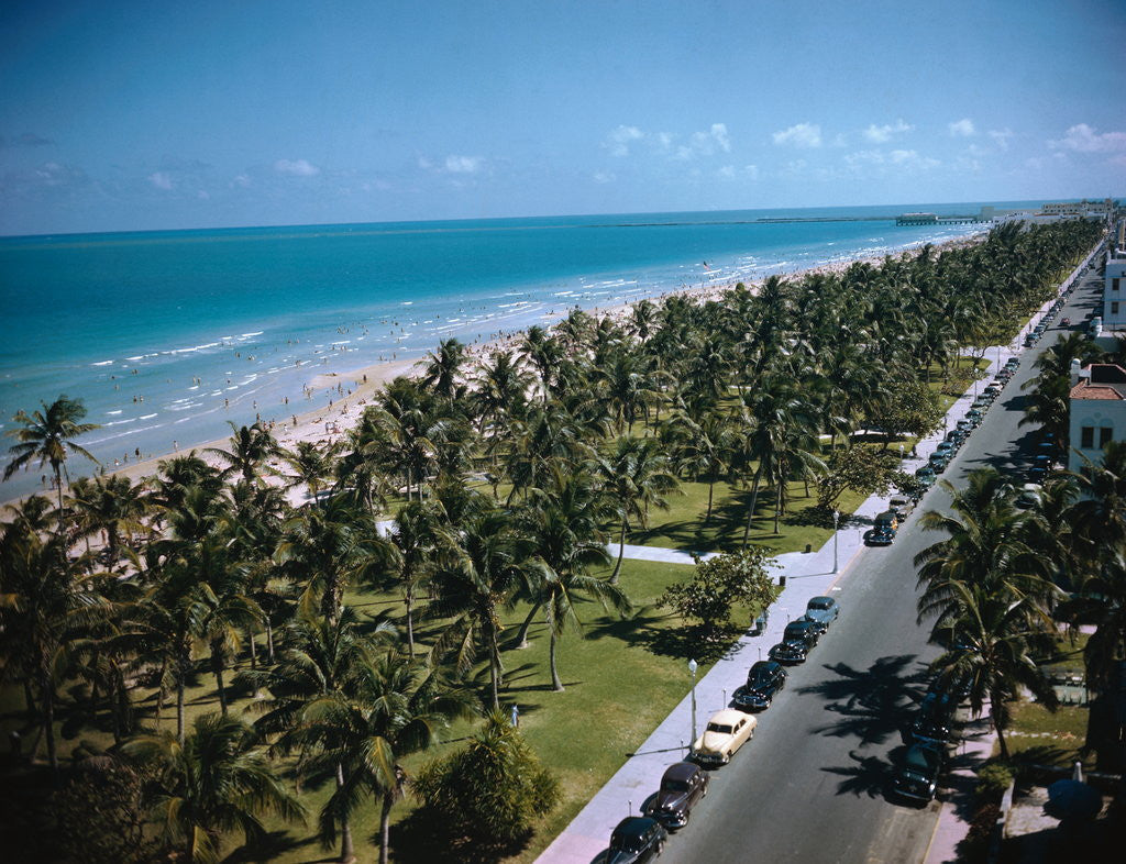 Detail of Cars Driving Near Beach Site by Anonymous