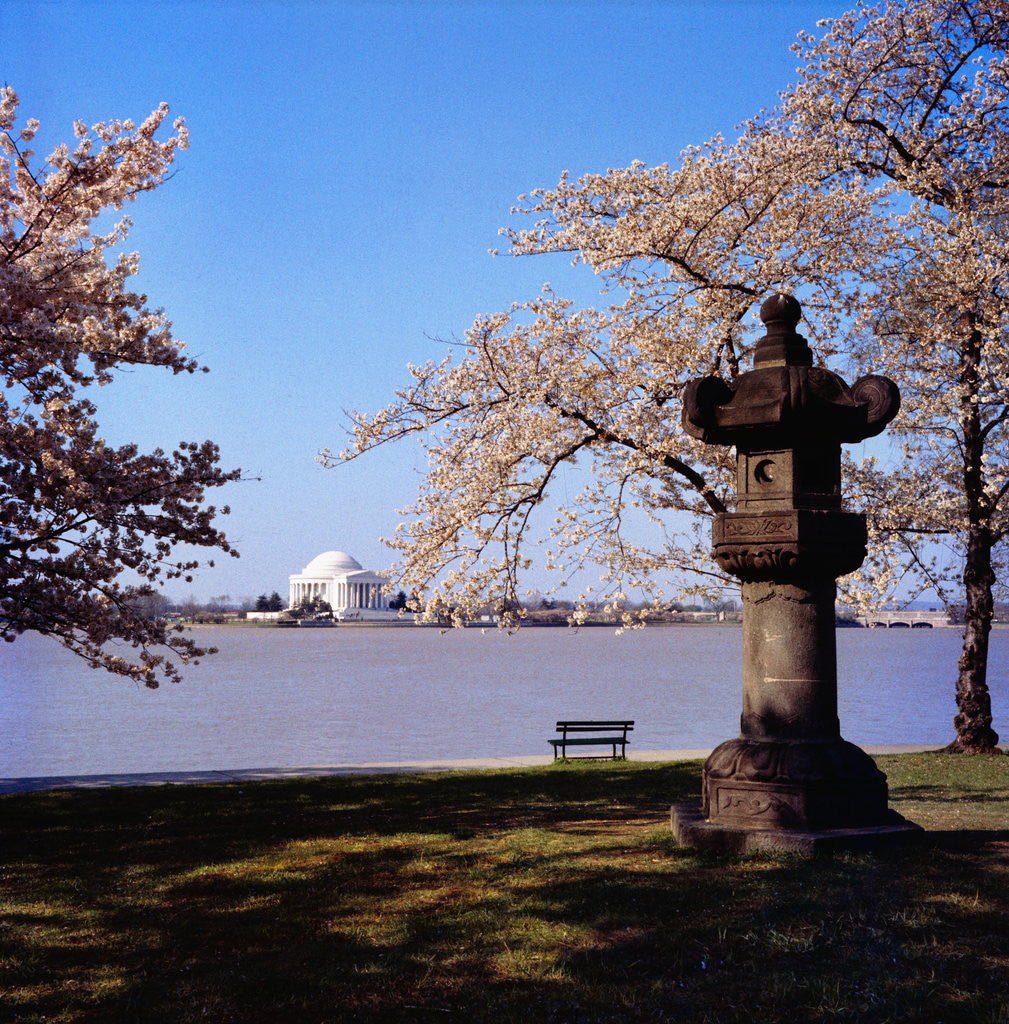 Detail of Jefferson Memorial from across the Lake by Anonymous