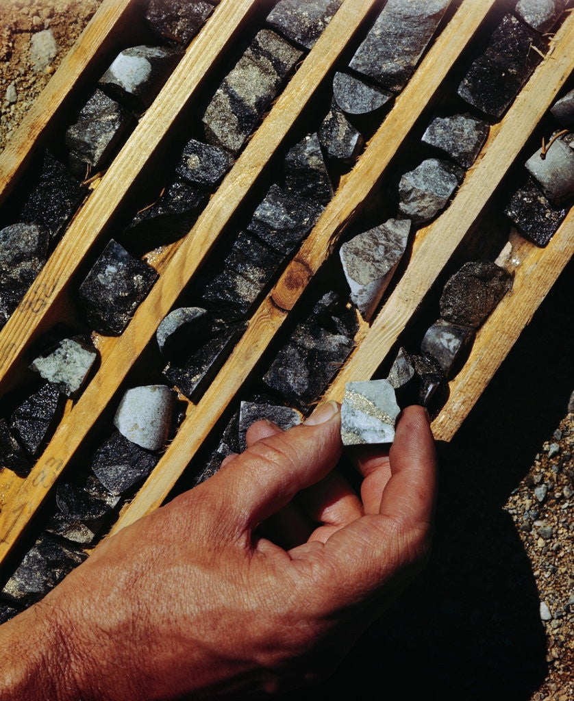 Detail of Container of Mineral Deposits Being Examined by Anonymous