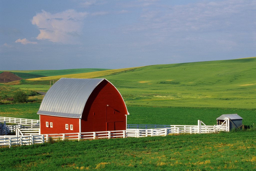 Detail of Red Barn and White Fence Near Pullman by Anonymous