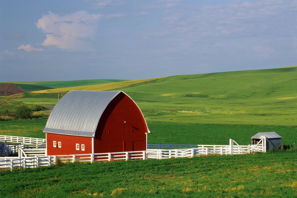 Detail of Red Barn and White Fence Near Pullman by Corbis