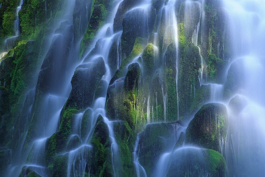 Detail of Lower Proxy Falls by Anonymous