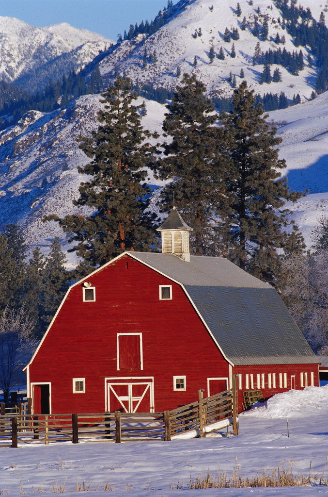 Detail of Red Barn in Winter by Anonymous
