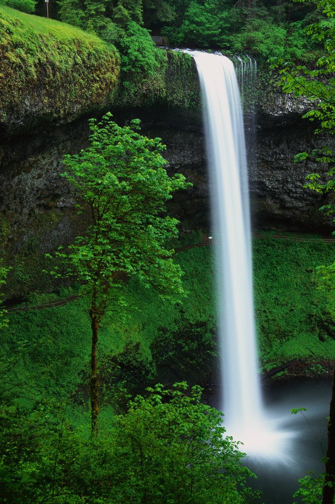 Detail of South Silver Falls by Anonymous