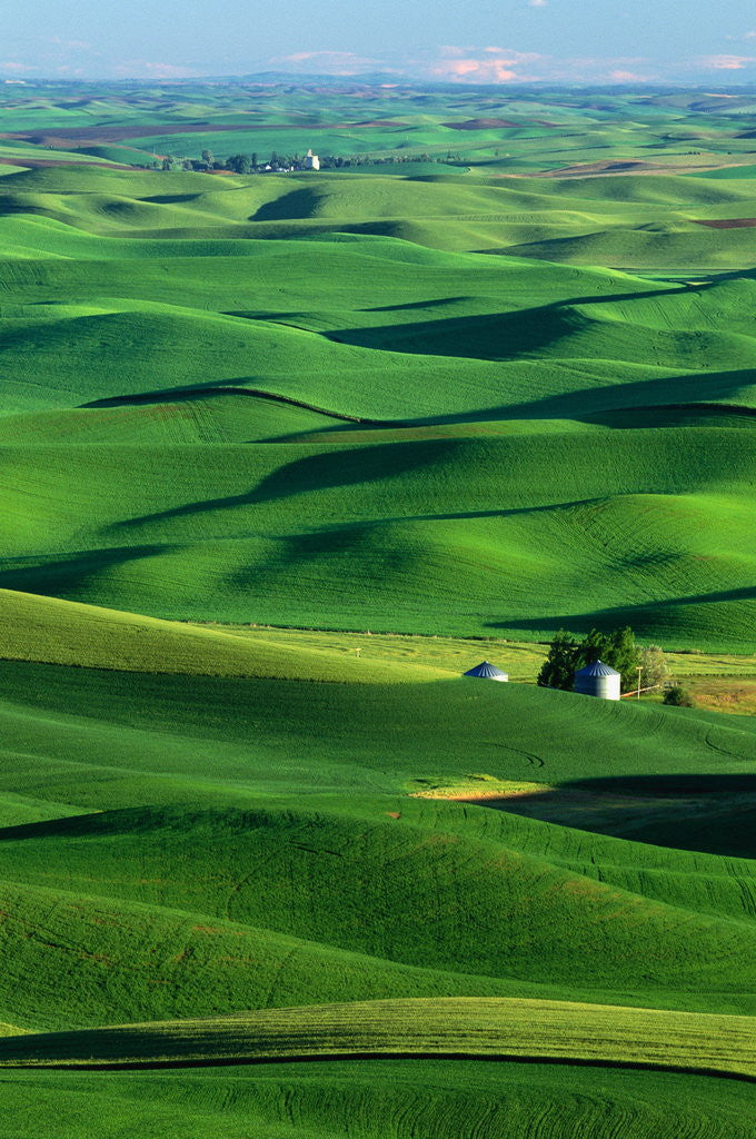 Detail of Palouse Hills by Anonymous
