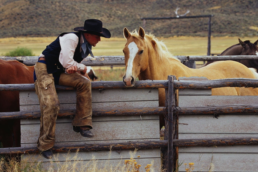 Detail of Cowboy and Horses by Anonymous
