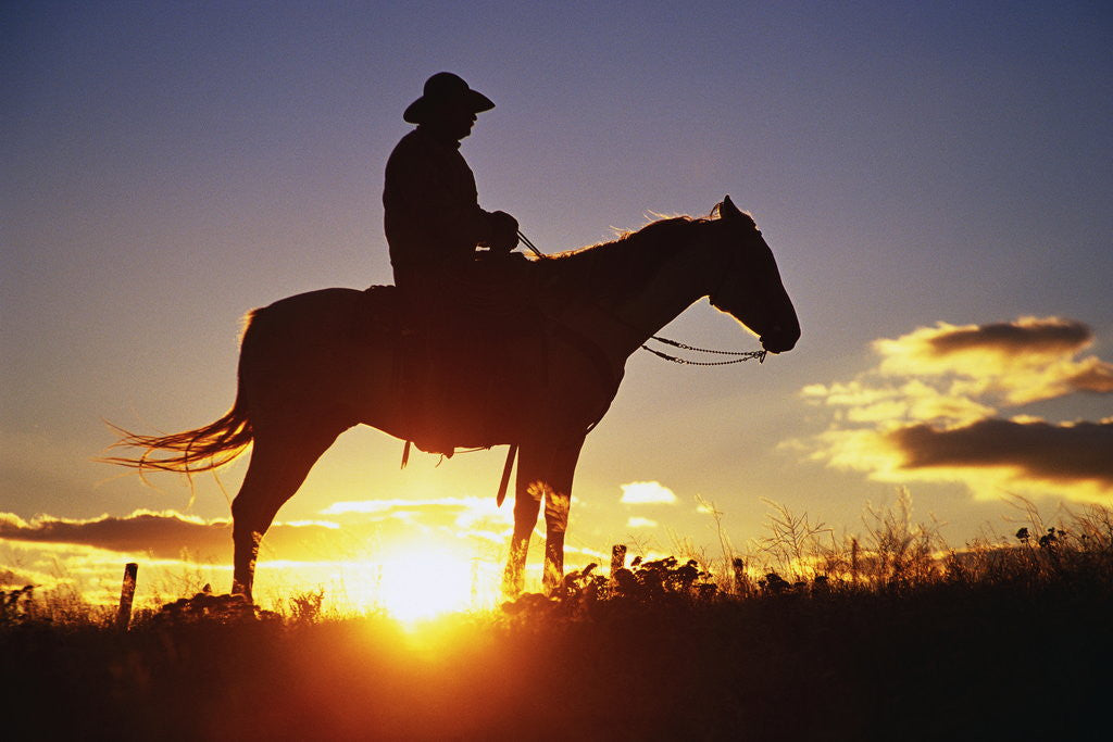 Detail of Cowboy Silhouetted at Sunset by Anonymous