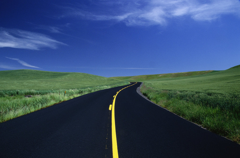 Detail of Freshly Paved Highway by Anonymous
