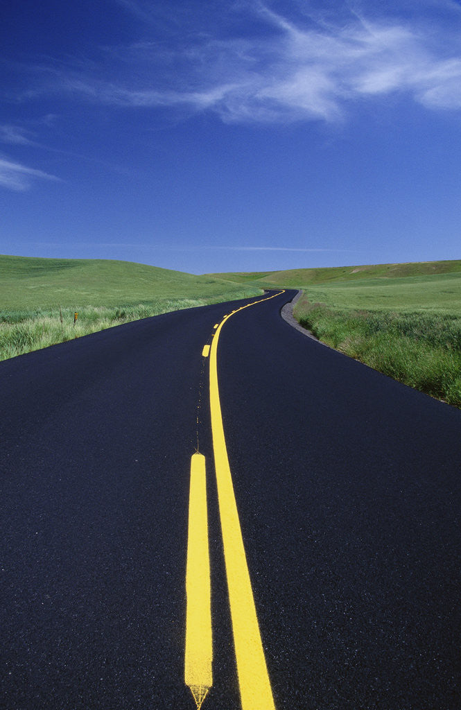 Detail of Freshly Paved Highway by Anonymous