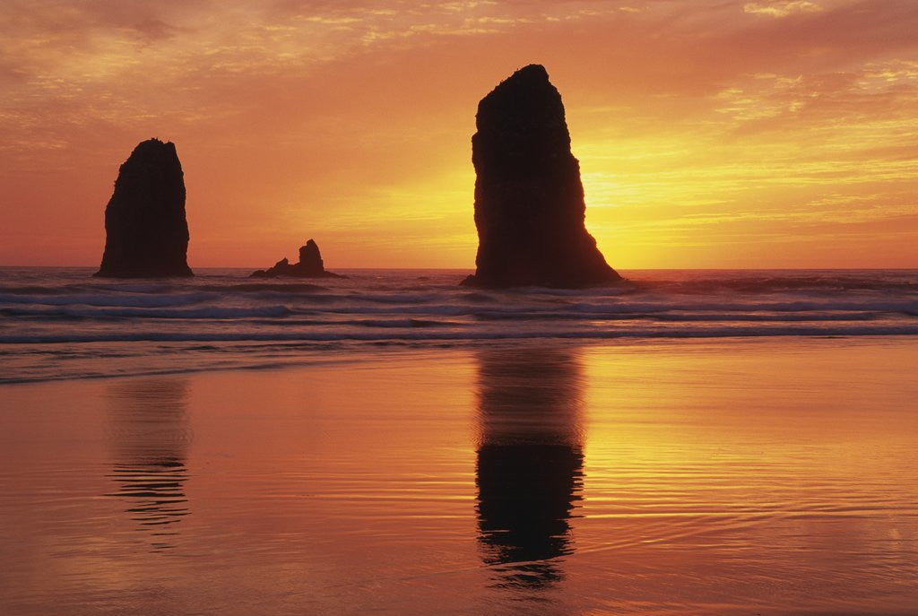 Detail of Sea Stacks at Cannon Beach by Anonymous