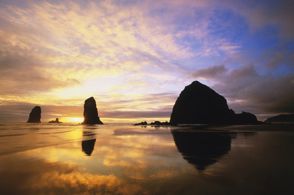 Detail of Sea Stacks at Cannon Beach by Corbis