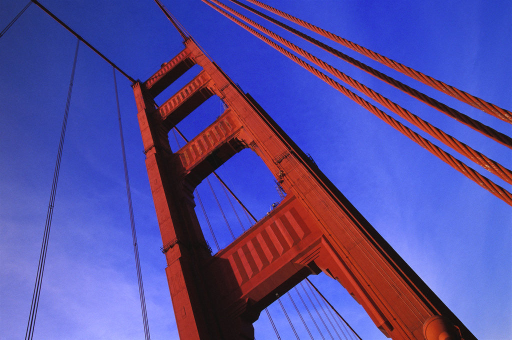 Detail of Golden Gate Bridge by Anonymous