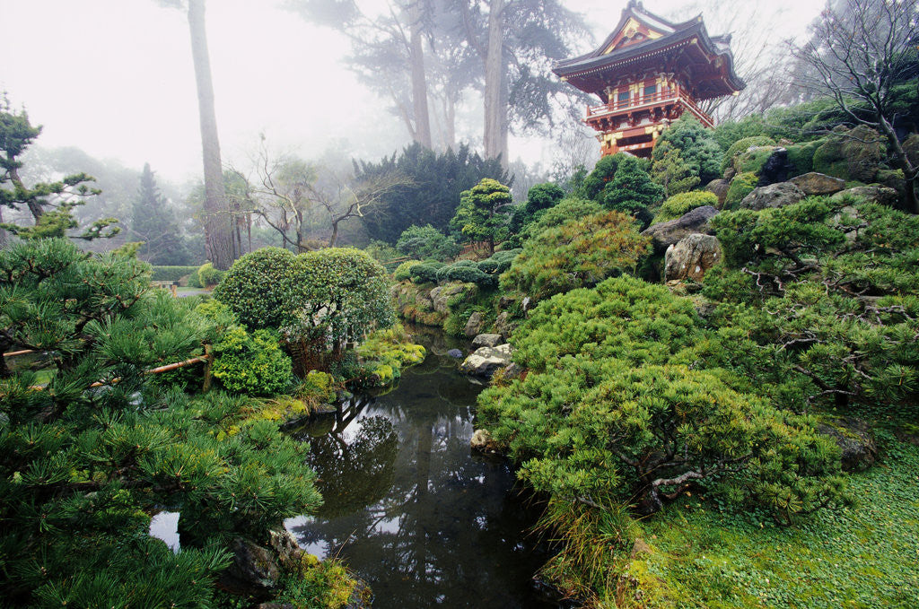 Detail of Japanese Garden by Corbis