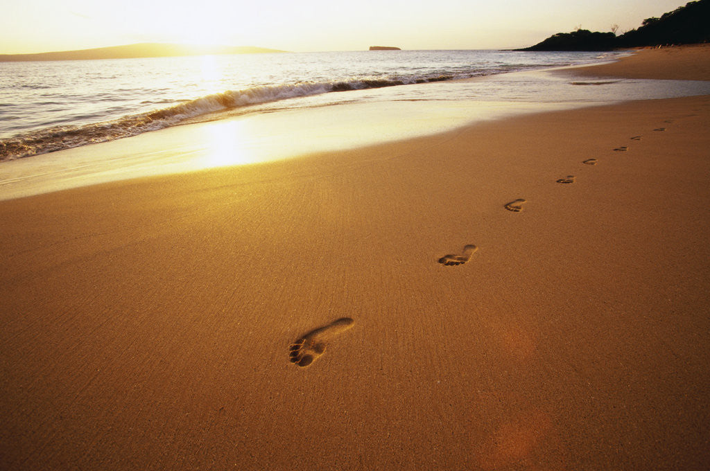 Detail of Footprints on Makena Beach by Anonymous