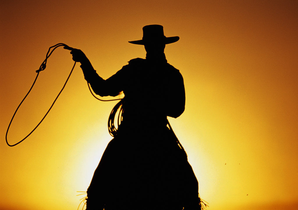 Detail of Silhouette of Cowboy on Horse Holding Rope by Corbis