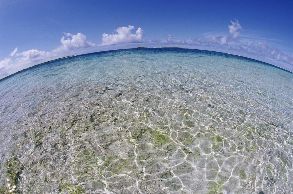 Detail of Clear Tropical Waters at Pitcairn Islands by Anonymous