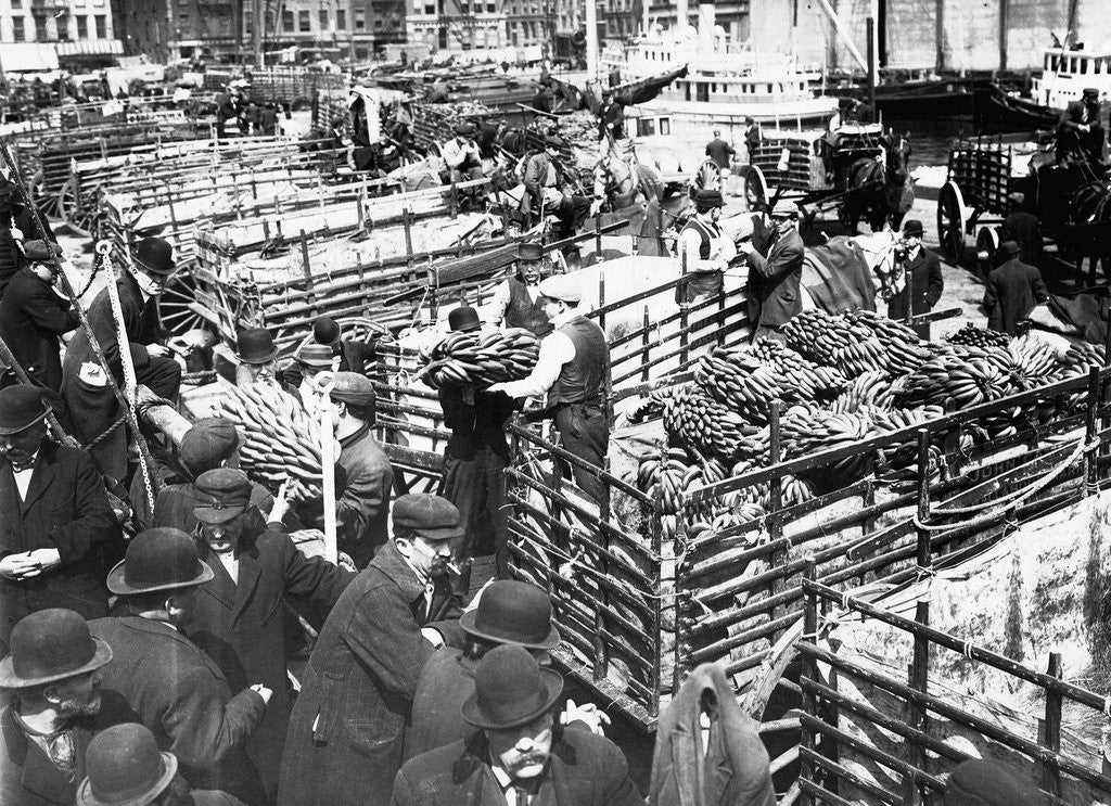 Detail of Bananas Arriving at Dock by Corbis