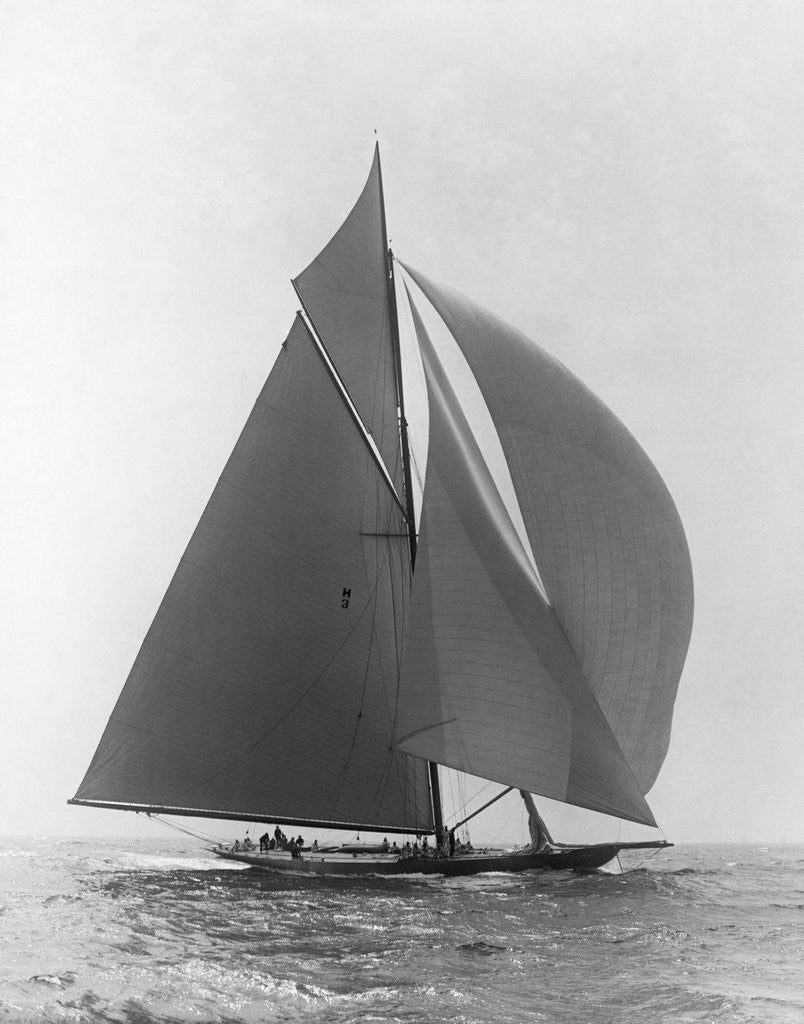 Detail of The Vanitie by Anonymous