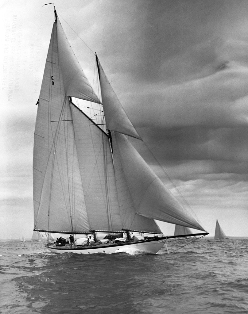 Detail of The Queen Mab by Anonymous