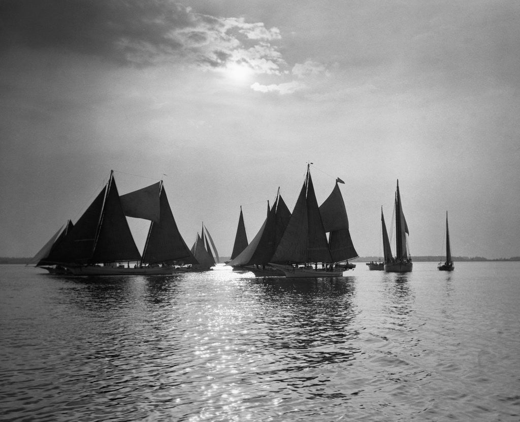 Detail of Sailboats Gather in a Bay by Anonymous