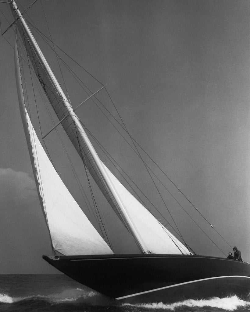 Detail of Ibis Yacht Cruising by Anonymous