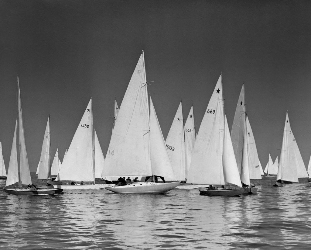 Detail of Star Class Sailboats Participate in a Race by Anonymous