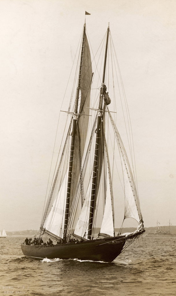 Detail of Bluenose Schooner by Anonymous