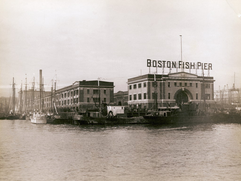 Detail of Boston Fish Pier at Waterfront by Anonymous