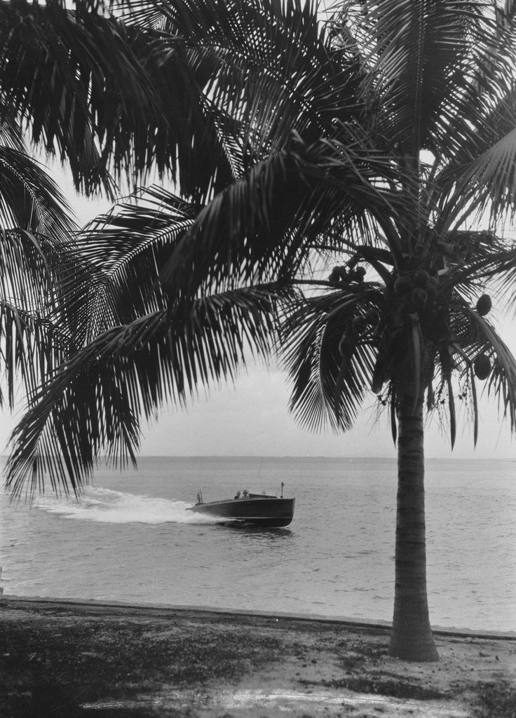 Detail of Motorboat Cruising Along Miami Beach by Anonymous