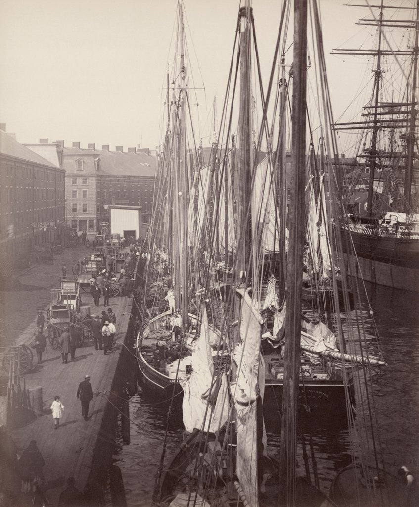Detail of Schooners Docked at Commercial Wharf by Anonymous