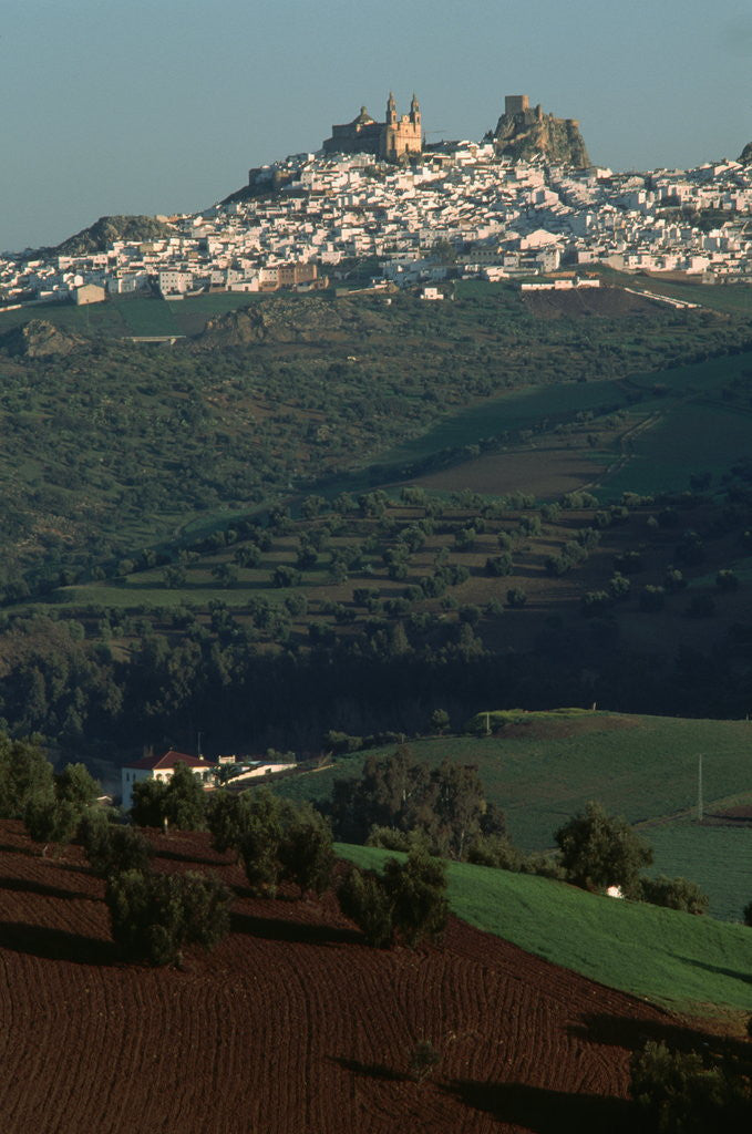 Detail of View of Olvera, Spain by Anonymous