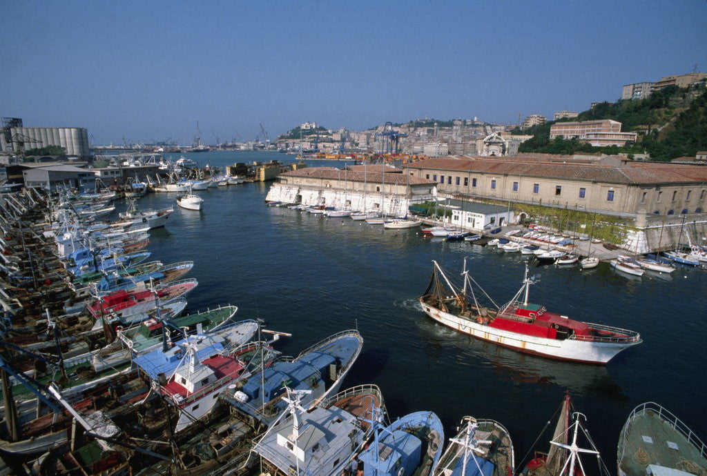 Detail of Fishing Boats in Harbor by Anonymous