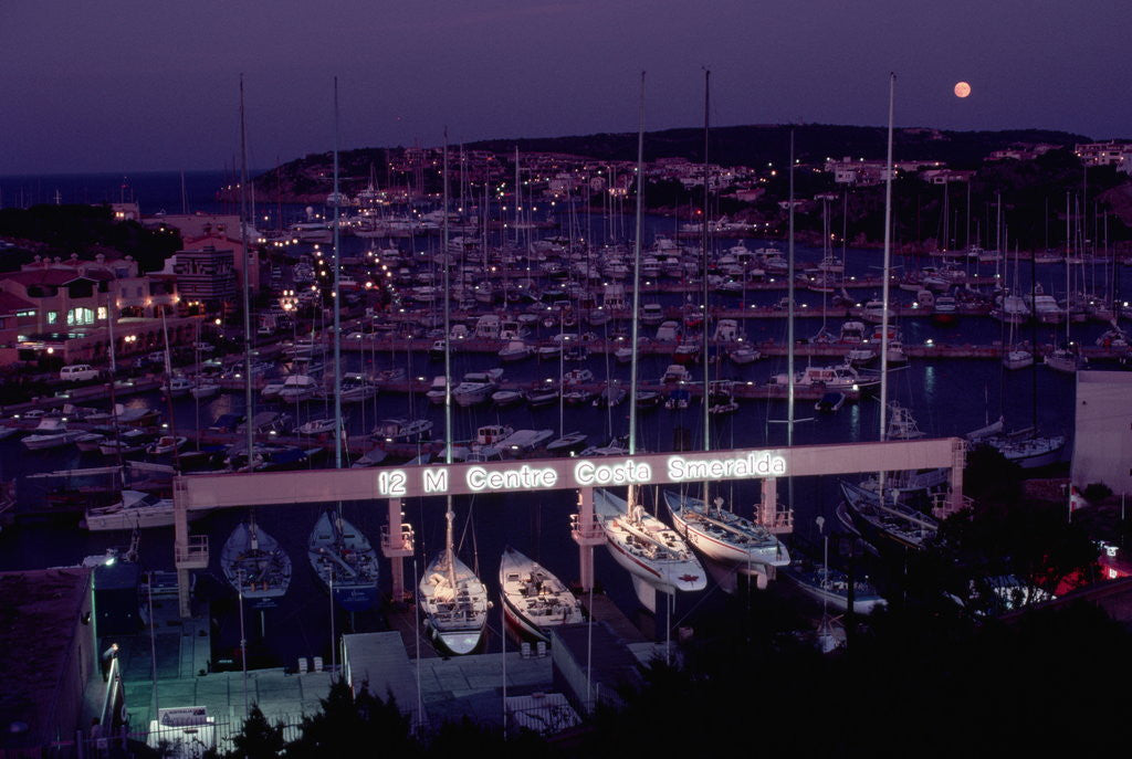 Detail of Marina of Porto Cervo at Night by Anonymous
