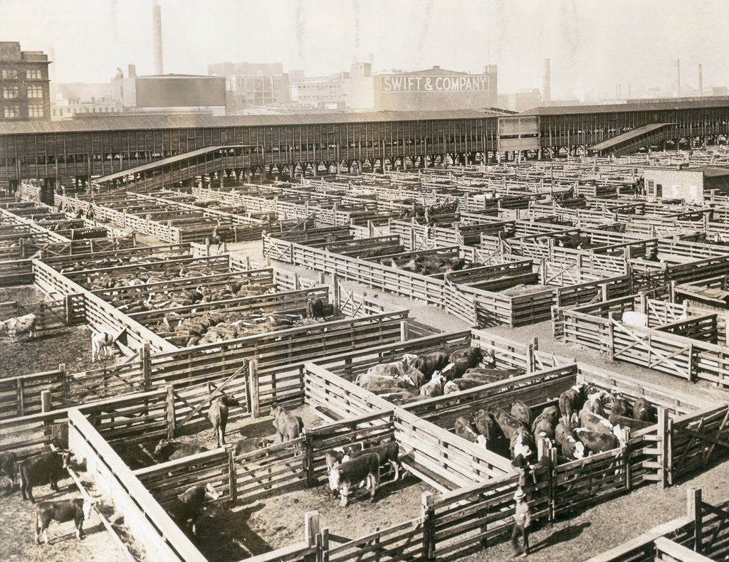 Detail of Overhead View of Chicago Stockyards by Anonymous